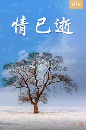 情已逝(全集)